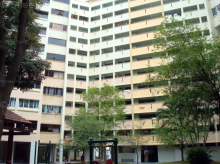 woodlands-drive-40 photo thumbnail #7